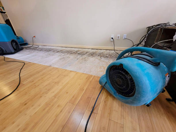 Professional Burst Pipe Water Damage technician working in Redlands, CO